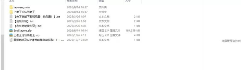 （PC+安卓）色色虚拟角色模拟器 3D官中步兵版ver 1.4 [2+1.4g][百度盘]