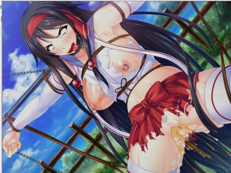 【PC】最强的巫女堕落成我的爆乳剑奴～v1.0+存档+汉化 [1P+600M][百度盘]