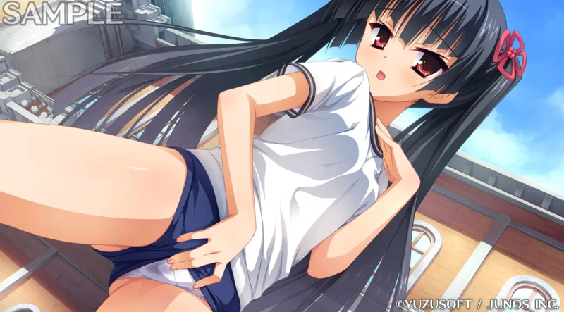PC[ADV/学园]贵族工作 のーぶる☆わーくす 汉化[PC+安卓kr] [1+3.1g][百度盘]