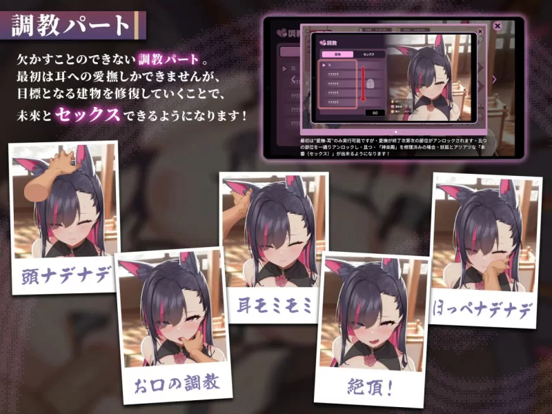 [SLG官中PC动态步兵]妖狐的深夜直播 Mirai’s Midnight Stream 妖狐… [1+12G][百度盘]