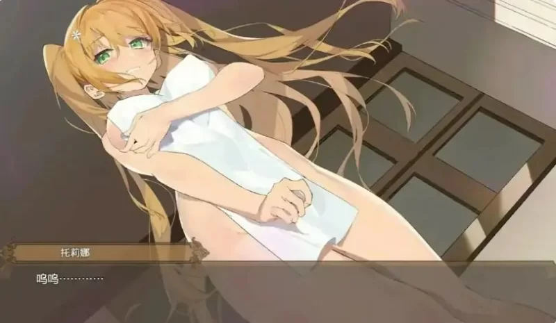 【PC/安卓】影色渐染~阿斯林顿的妹神官Ver.1.3.3官中步兵版+DLC [1P+7.50G][百度盘]