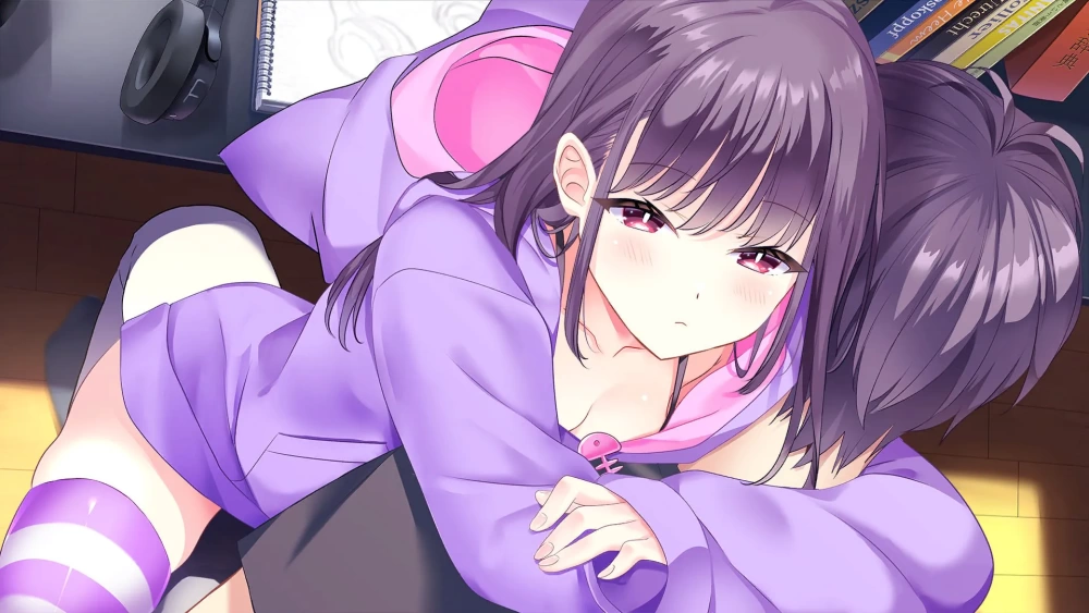 【ADV/PC/汉化/全CV】ENCORE! plus! [1+6.73G][百度盘]