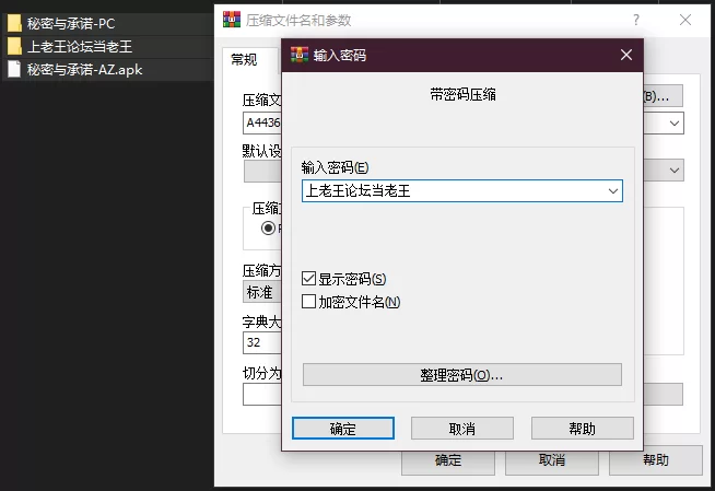 PC+安卓–秘密与承诺 Secrets and Promises V0.09 简中汉化 [1+8.81G][百度盘]
