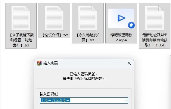 【SLG/双端/官中/步兵】最新无码步兵版极道无赖EX ver1.2 [1v+2.5g][百度盘]