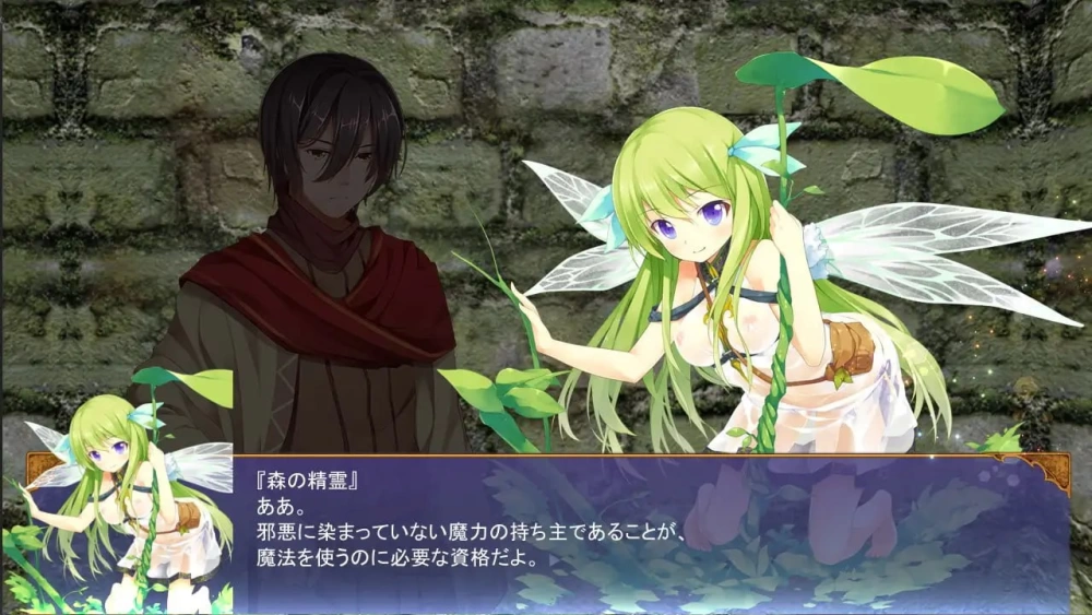 【更新RPG生肉PCv1.2】魔王の娘と森の魔女 [1+1.55G][百度盘]