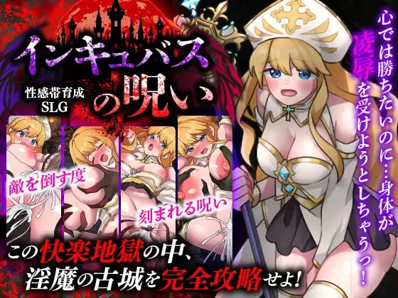 [SLG汉化PC]敏感带培育SLG 梦魔的诅咒 性感帯育成SLG イン [1+500M][百度盘]
