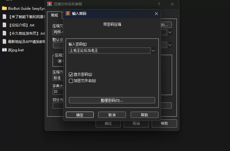 [PC/音游/动态/官中/步兵/更新] BioBot Guide: 色欲同频 Ver8.1.1 [1+1.04GB][百度盘]