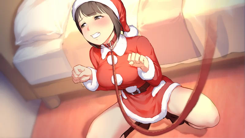 [PC+安卓直装/日系ADV]调教恶妻2~S系妻子变得更加S了 AI汉化版 [2+2.4G][百度盘]