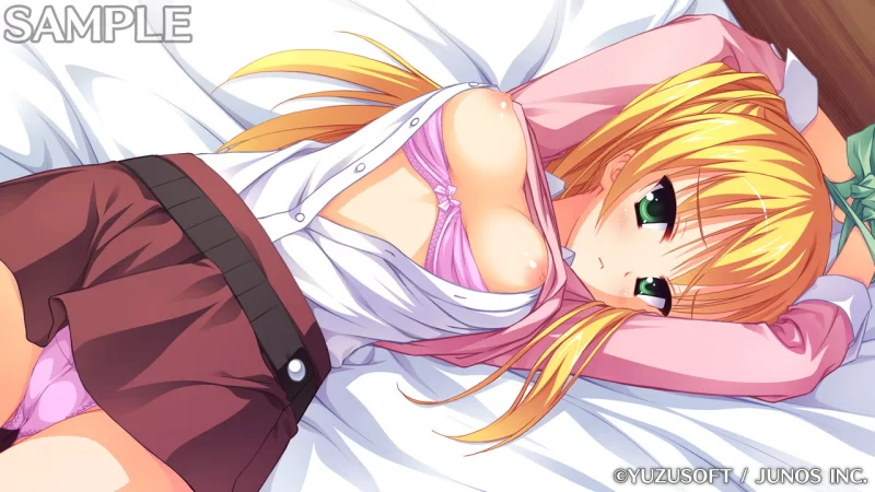 PC[ADV/学园]贵族工作 のーぶる☆わーくす 汉化[PC+安卓kr] [1+3.1g][百度盘]