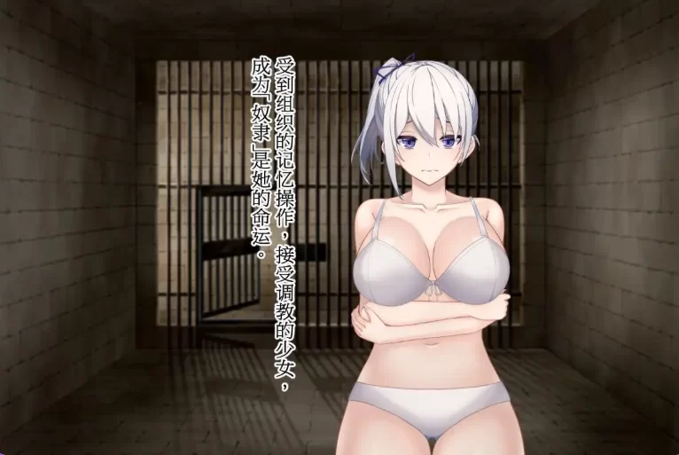 [日式ADV/调教巨乳pc] 调教师与终将成为奴隶的少女官中版 [1+620M][百度盘]
