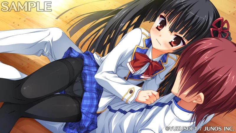 PC[ADV/学园]贵族工作 のーぶる☆わーくす 汉化[PC+安卓kr] [1+3.1g][百度盘]