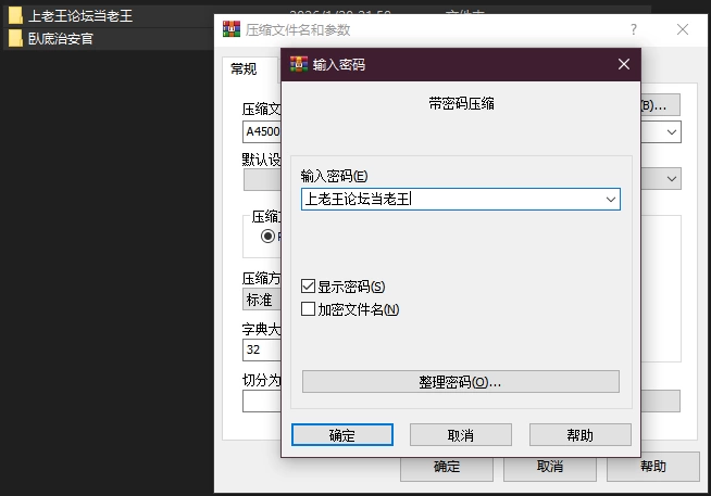 PC–臥底治安官 Hidden Badge v260729b 官中步兵版+全画廊存档 [1+394M][百度盘]