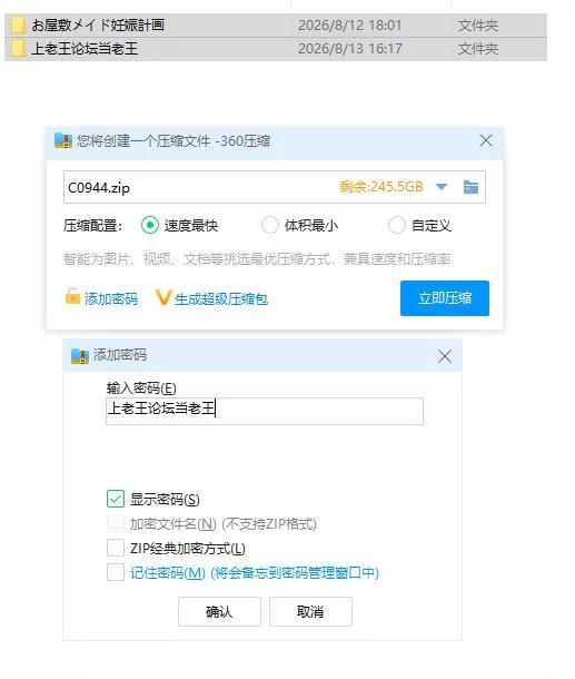 pc宅邸女仆妊娠计划～请代替大小姐抱我吧！～ ver1.10 AI汉… [1+126m][百度盘]