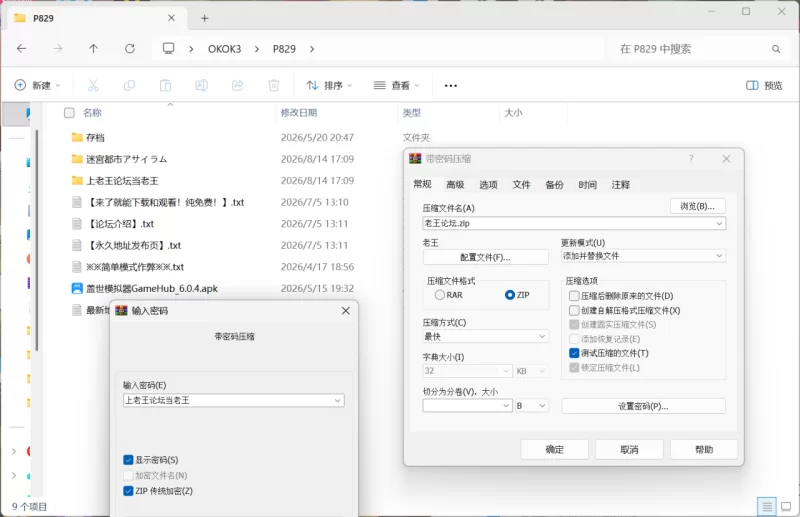 [PC/安卓模拟器/2D/RPG/中文/异种]迷宫都市阿萨伊拉姆 v1.0.11.1 [2+1.12G][百度盘]