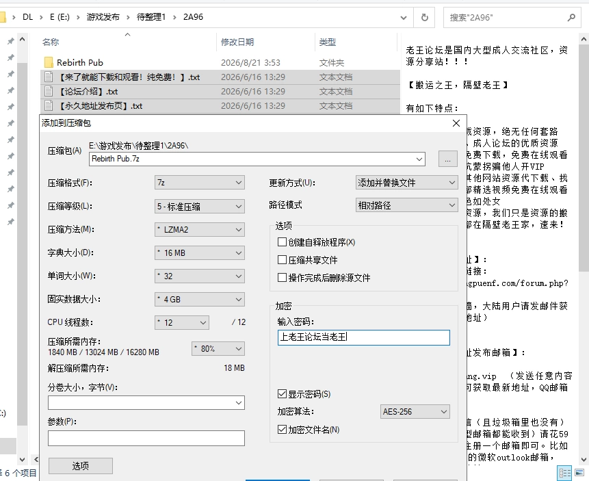 [SLG/官中/PC]重生酒馆 Rebirth Pub v1.1.0 [2+2.55G][多种下载方式]