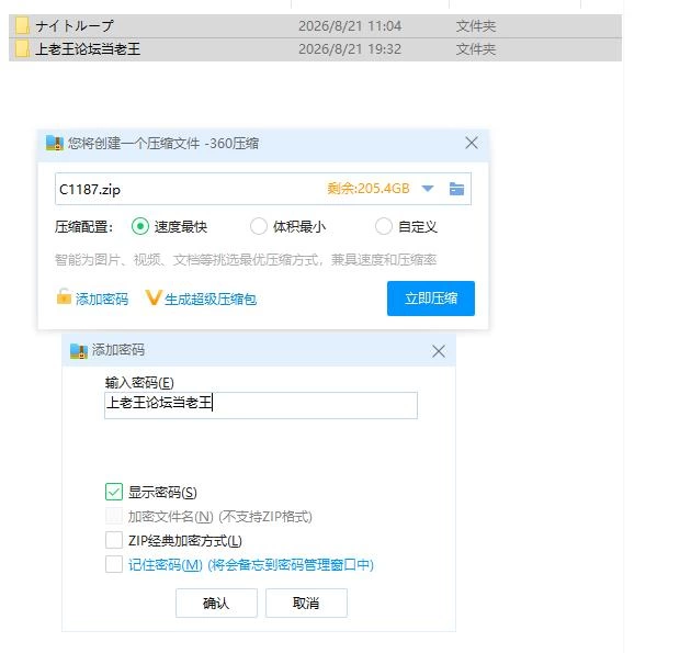 pc夜循环-露出肉鸽- ナイトループ-露出ローグライト- AI汉… [1+1g][百度盘]