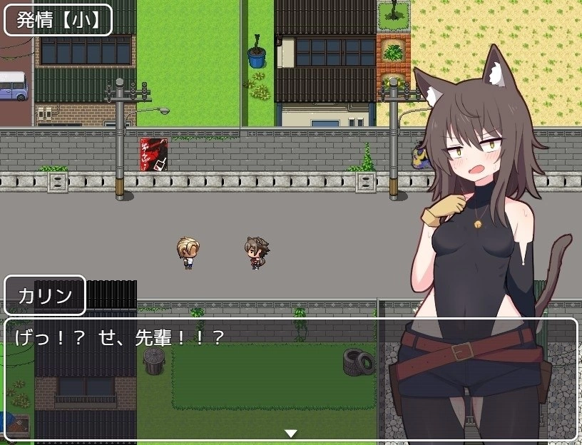 【RPG/安卓】卡琳的再燃 [1+366.3m][百度盘]