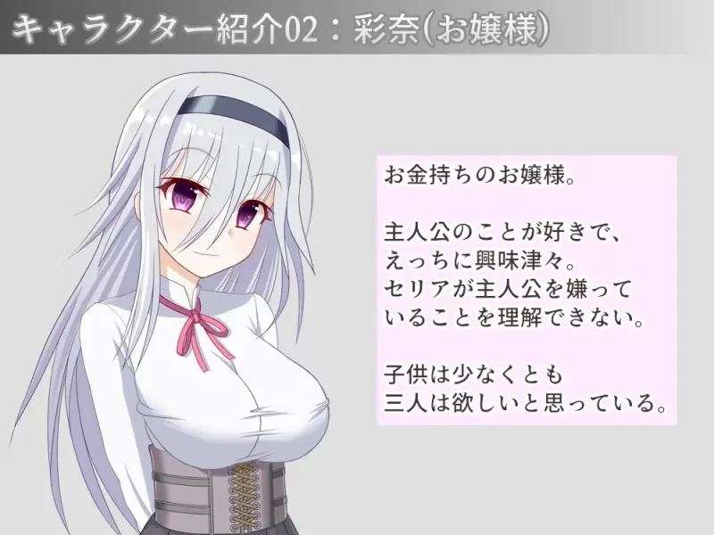 PC 宅邸女仆妊娠计划 请代替大小姐抱我吧 ver1.10 AI汉化+存档 [1+280m][百度盘]
