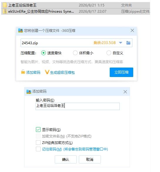 公主协同效应 v1.0.31【PC [1+2g][百度盘]