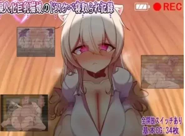 [日式RPG/被NTR] 人化巨乳猫娘的淫荡NTR记录 [aop模拟器] [1+337MB][百度盘]