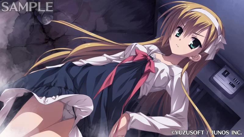 PC[ADV/学园]贵族工作 のーぶる☆わーくす 汉化[PC+安卓kr] [1+3.1g][百度盘]