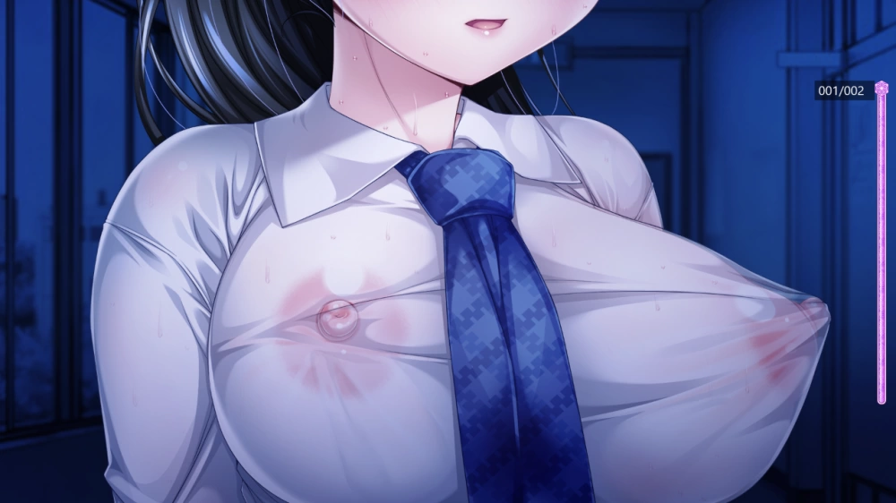 【PC】一根不浄~Ikkon Fujou~v1.0+全CG存档+汉化 [1P+13G][百度盘]