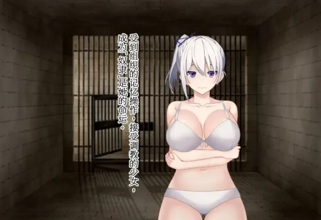 【ADV类型/pc】调教师与终将成为奴隶的少女1.0 官中版 [1+615M][百度盘]