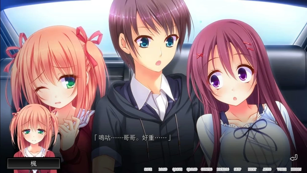 [PCADV汉化] 魔法少女的哥哥 拙劣的谎言与不良少年 魔法少女の兄 [3G] [1+3G][百度盘]