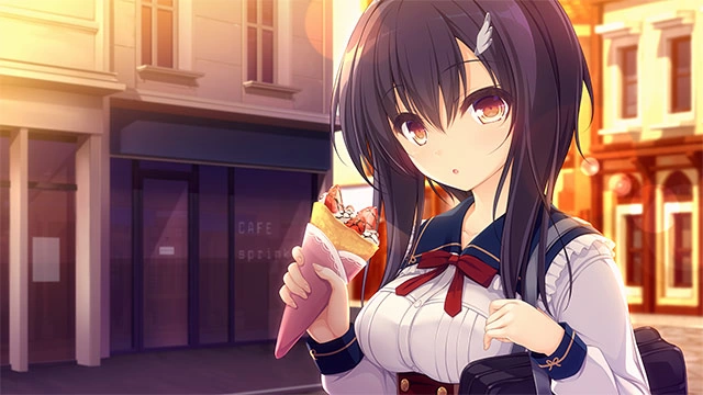 PC[ADV/纯爱]候鸟的梦 pieces/渡り鳥のソムニウム 汉化 [1+1.1g][百度盘]