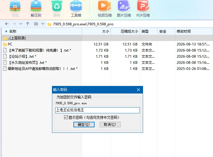 【自购】面部模拟器0.598AI汉化版+117款MOD【PC+互动】True Facials [5+12.5G][多种下载方式]