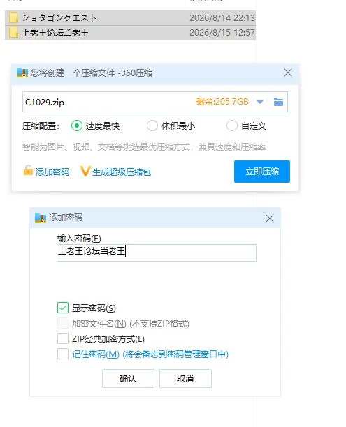 pc正太龙之旅～不死勇者与未被命运选中的少女们～官中版… [1+2.61g][百度盘]