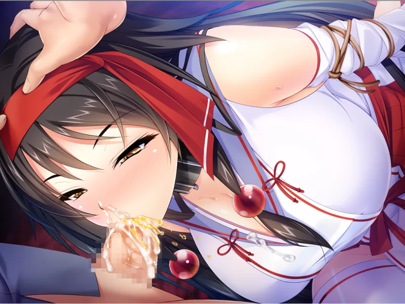 【PC】最强的巫女堕落成我的爆乳剑奴～v1.0+存档+汉化 [1P+600M][百度盘]