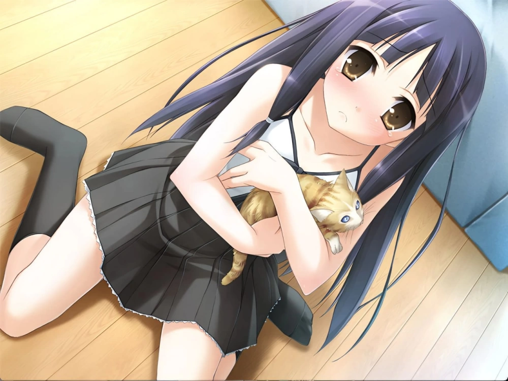 [ADV/PC/存档/汉化]夏之雨～夏ノ雨 [1+1.5g][百度盘]
