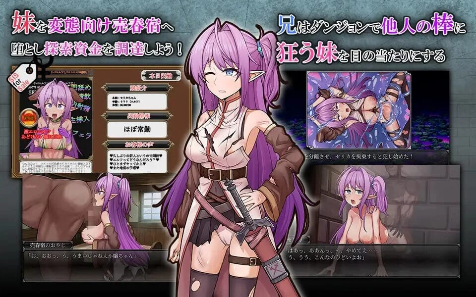 [RPG汉化PC NTR]被寝取的发情精灵妹妹剑士塞莉卡 ネトラレ [1+1G][百度盘]