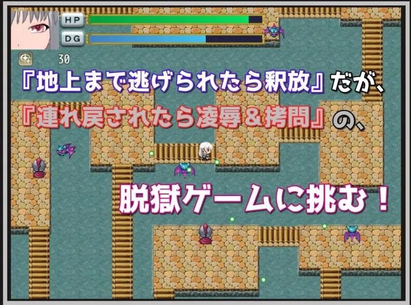 【PC】银玫瑰 ～被囚禁的精灵与惩罚游戏～ AI汉化版+日式RPG [1P+620M][百度盘]